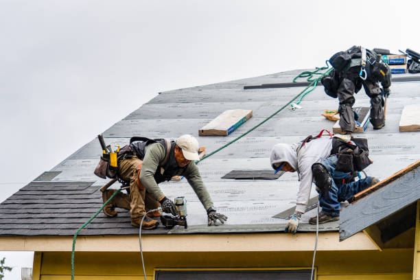 Professional Gutter Installation technician working in Horatio, SC